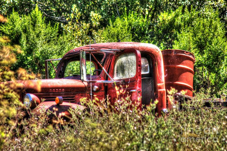 Vintage Dodge Pick-up Truck Photograph by Tap On Photo