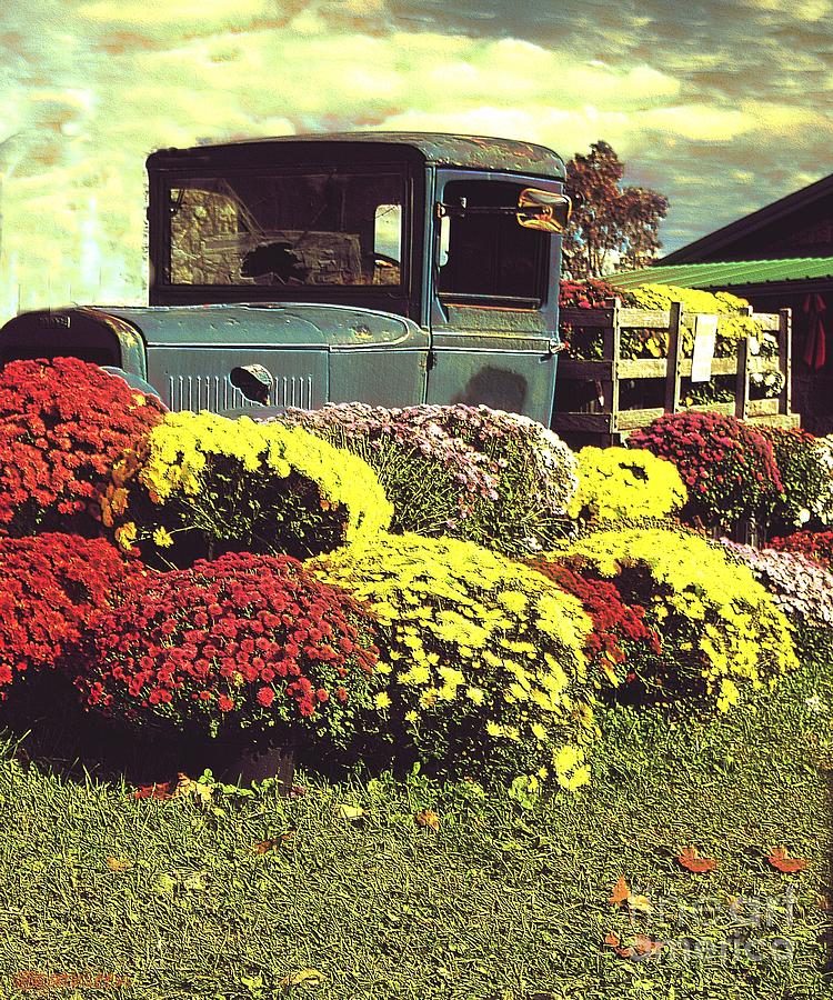 Vintage Fall Image Photograph