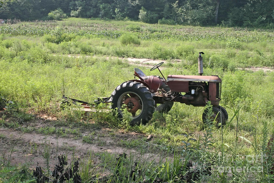 Vintage Farming Tractor Photograph by Ules Barnwell
