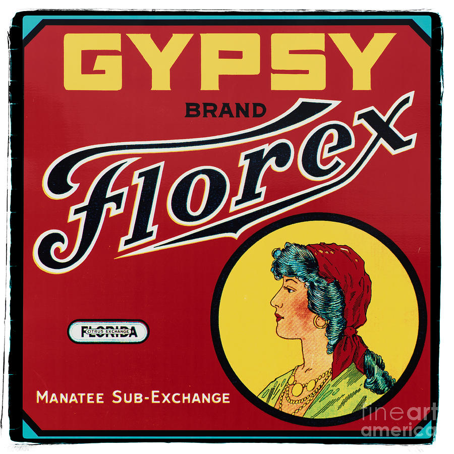 Sign Photograph - Vintage Florida Food Signs 2 - Gypsy Florex Brand - Square by Ian Monk