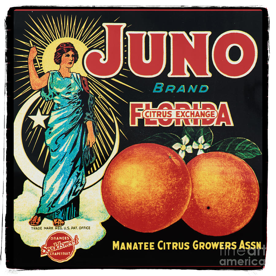 Sign Photograph - Vintage Florida Food Signs 1 - Juno Brand - Square  by Ian Monk