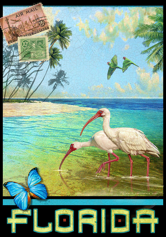 Flamingo Painting - Vintage Florida Travel Poster With Ibis by R christopher Vest