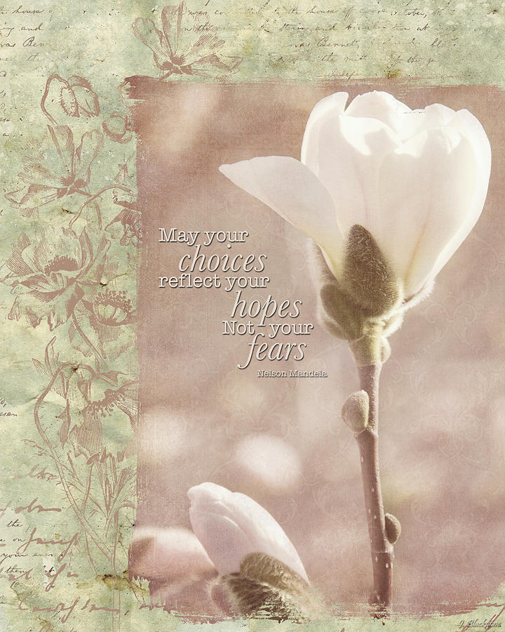 Magnolia Movie Photograph - Vintage Flower Art - Reflect Your Hopes by Jordan Blackstone
