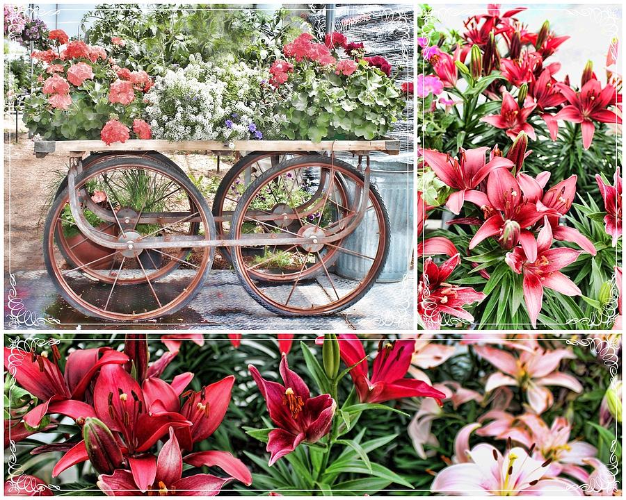 Vintage Flower Cart Collage Photograph by Sylvia Thornton