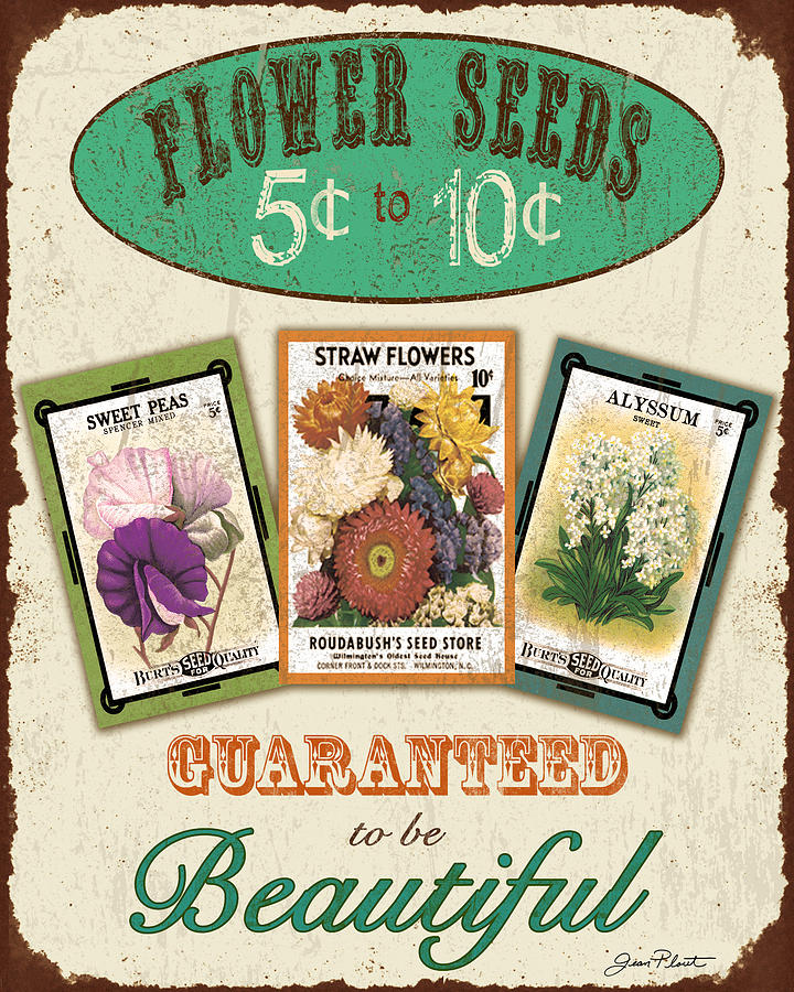 Vintage Flower Seed Sign Digital Art by Jean Plout