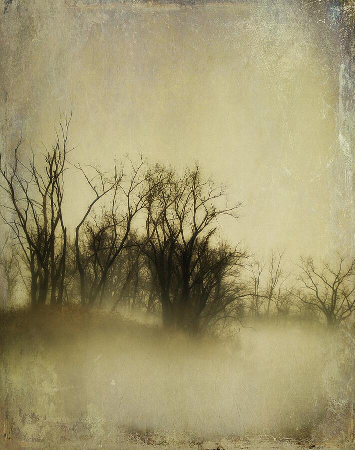 Vintage Fog Photograph by Gothicrow Images - Fine Art America