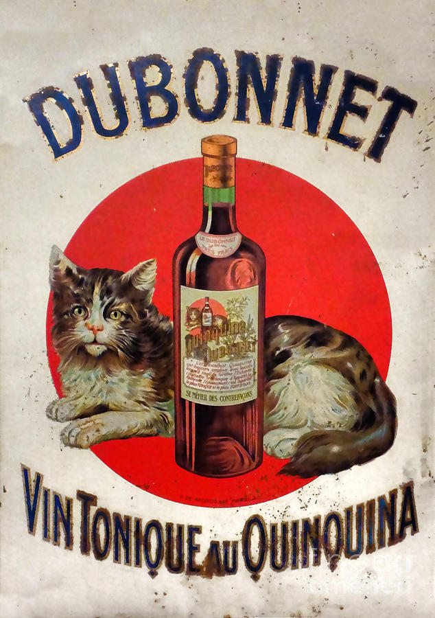 Vintage French Tin Sign Dubonnet Photograph by Olivier Le Queinec