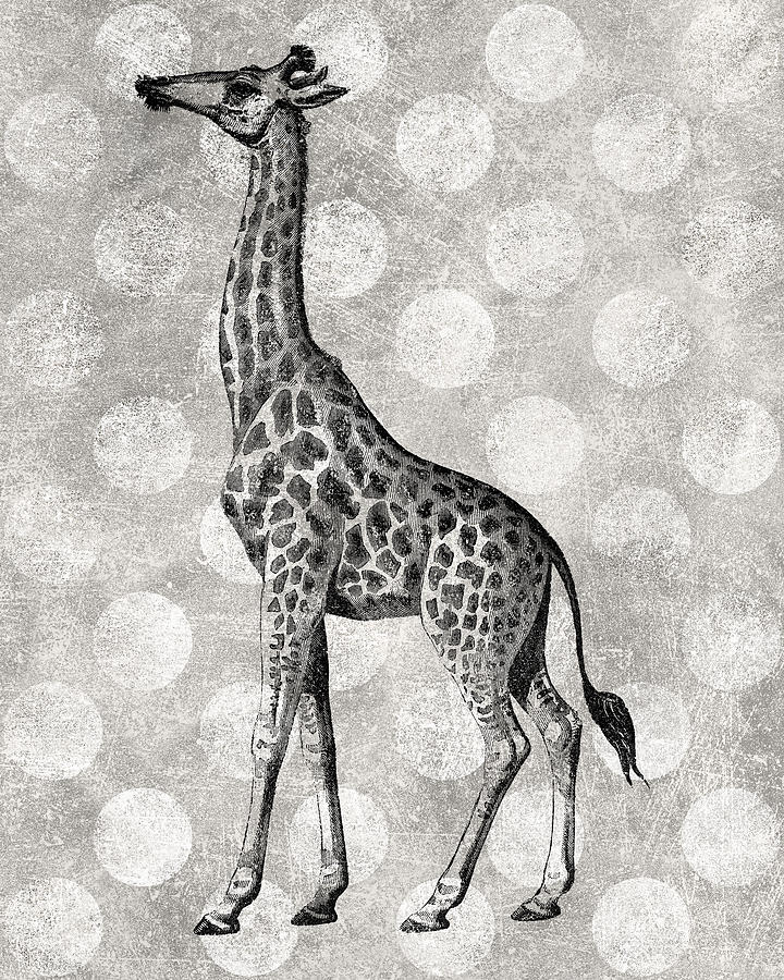 Giraffe Digital Art - Gray Giraffe by Flo Karp