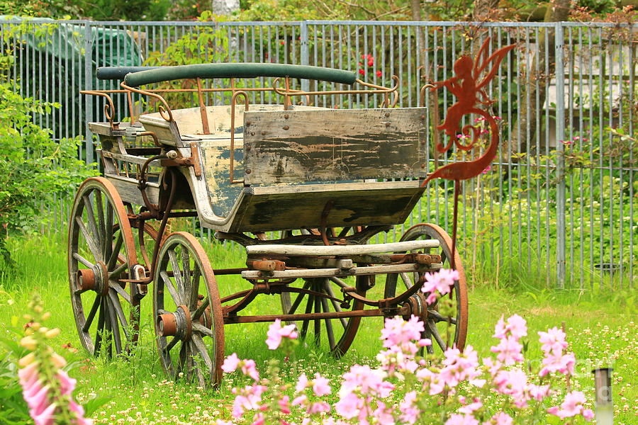 Vintage horse carriage in a flower bed  Photograph by Amanda Mohler