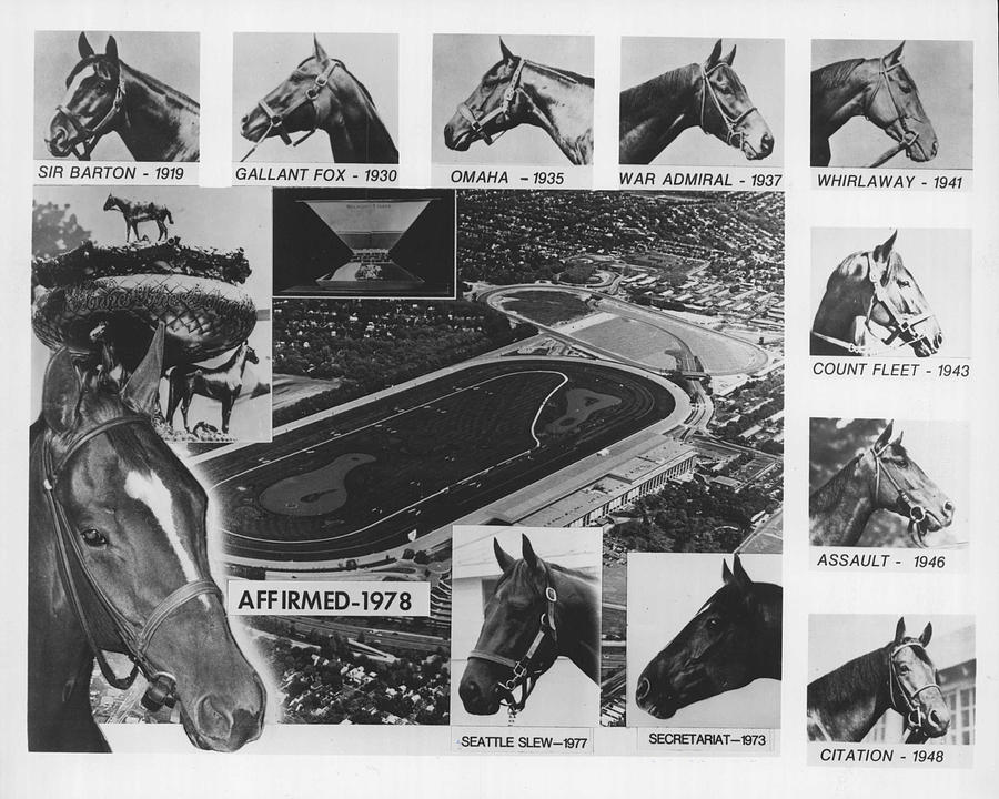 Vintage Photograph - Vintage Horse Racing Head Shots Seattle Slew by Retro Images Archive
