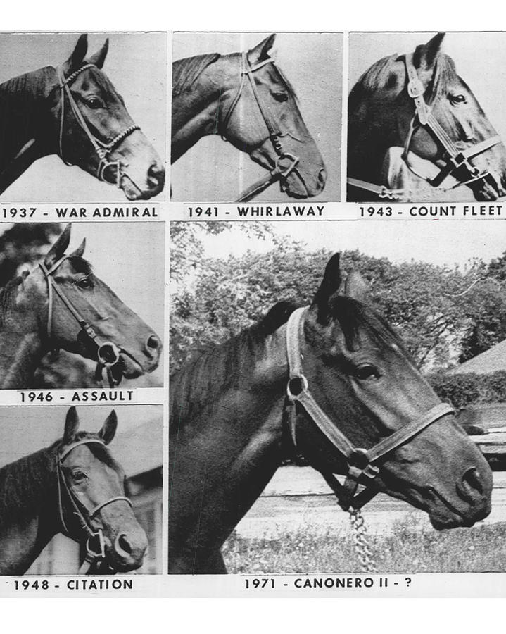 Vintage Horse Racing Head Shots War Admiral Photograph by Retro Images Archive