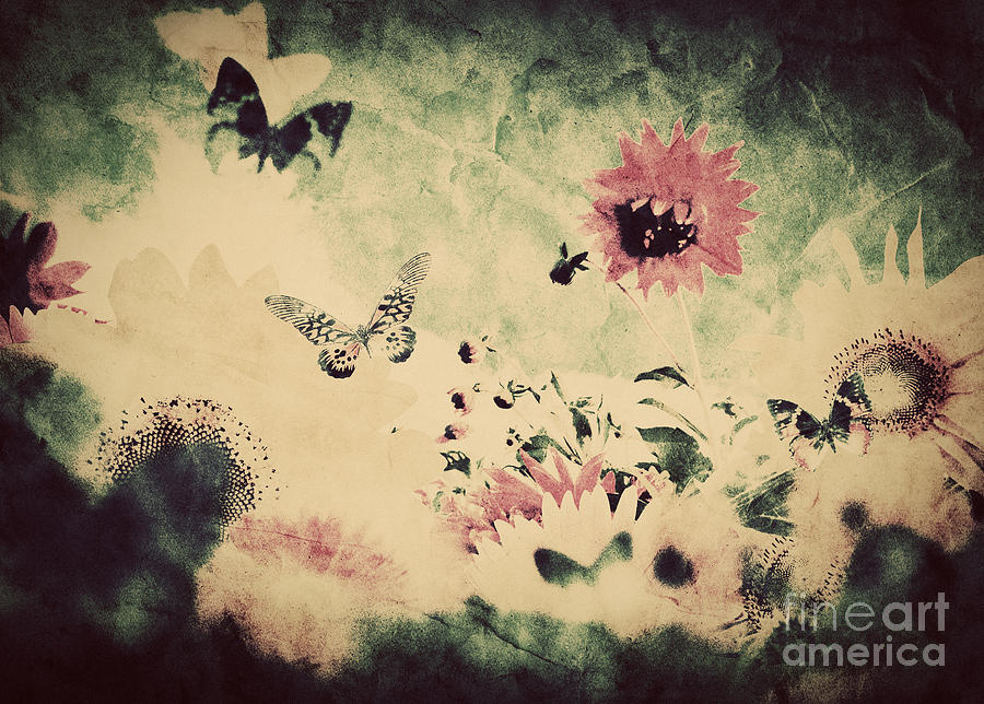 Vintage image of flowers and butterfly at spring summer time Photograph by Michal Bednarek