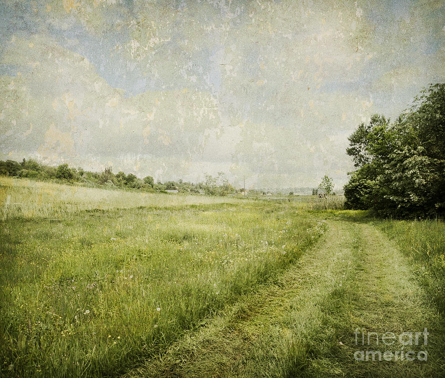 Vintage Landscape Photograph by Jelena Jovanovic