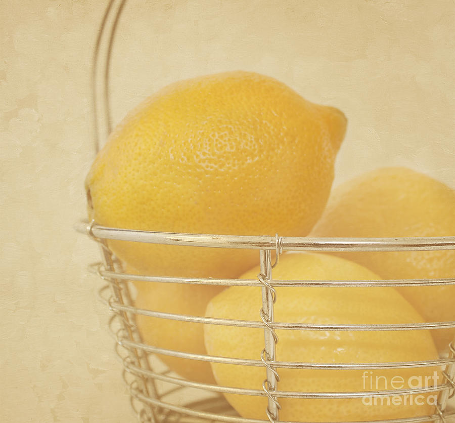 Vintage Lemons Still Life Photograph by Kim Hojnacki