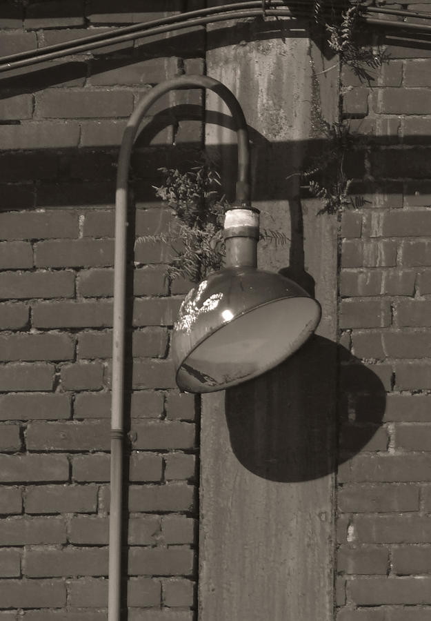 Vintage Light Photograph by Dark Whimsy