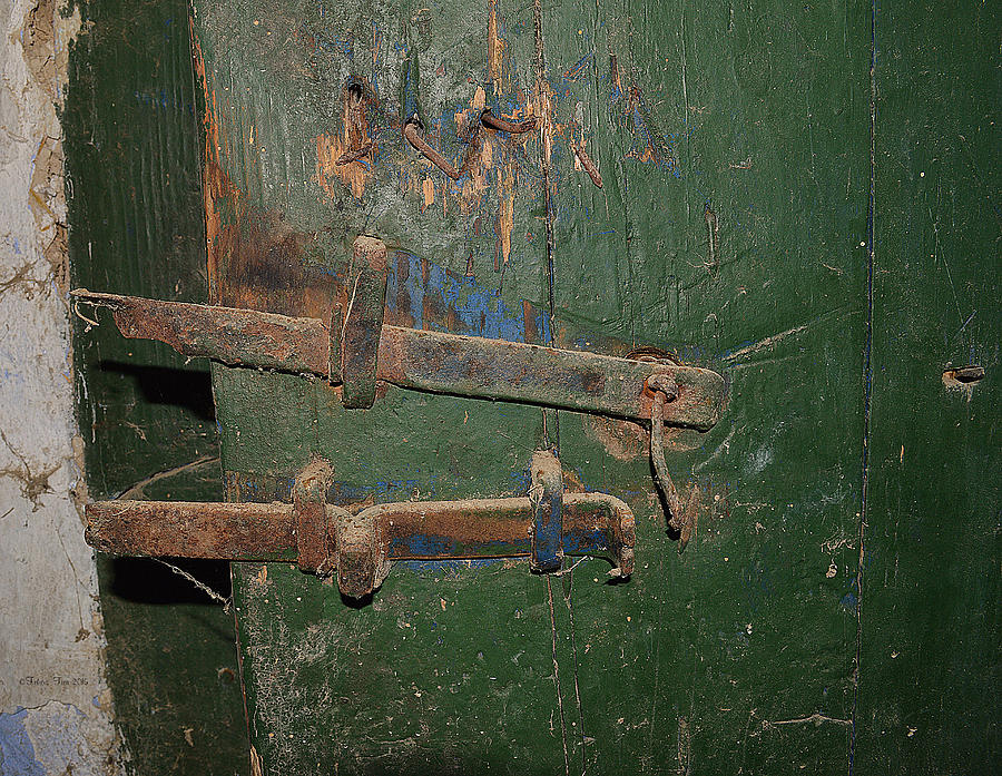 Vintage lock Photograph by Felicia Tica