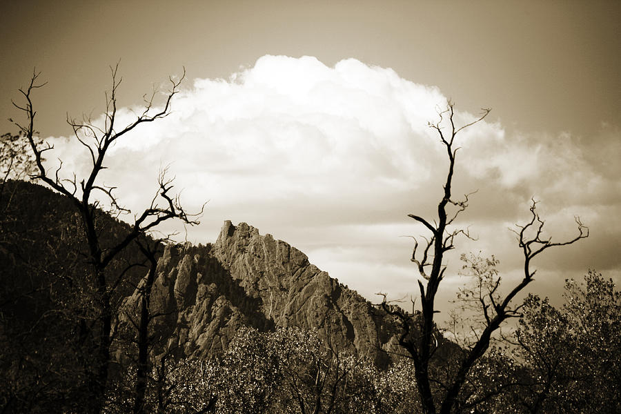 Tree Photograph - Vintage Looking Flatirons by Marilyn Hunt