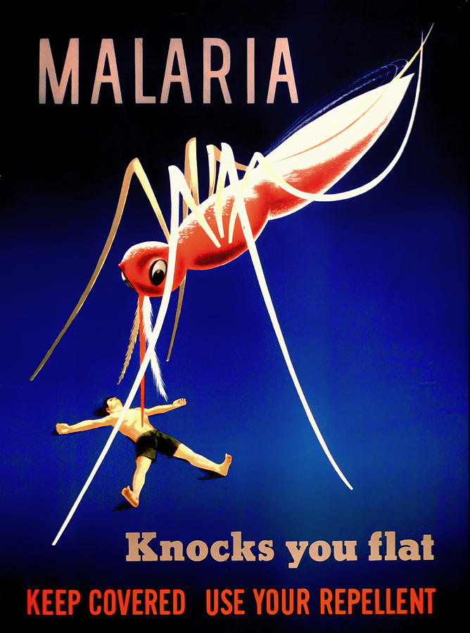 Vintage Photograph - Vintage Malaria Poster by Mountain Dreams