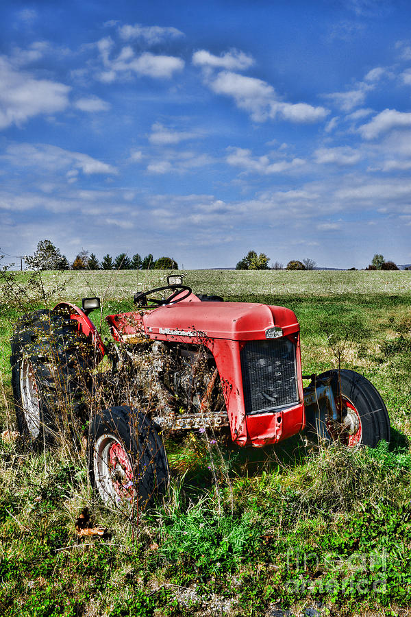 Vintage Massey-Ferguson Tractor Photograph by Paul Ward