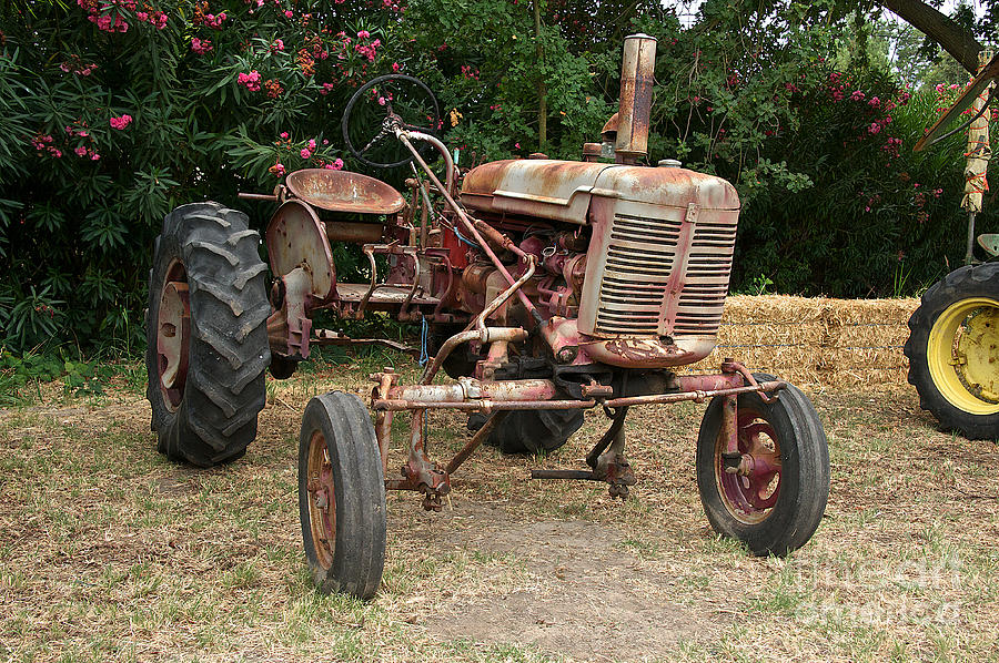 Vintage McCormick Farmall Tractor 2 Photograph by Dave Koontz