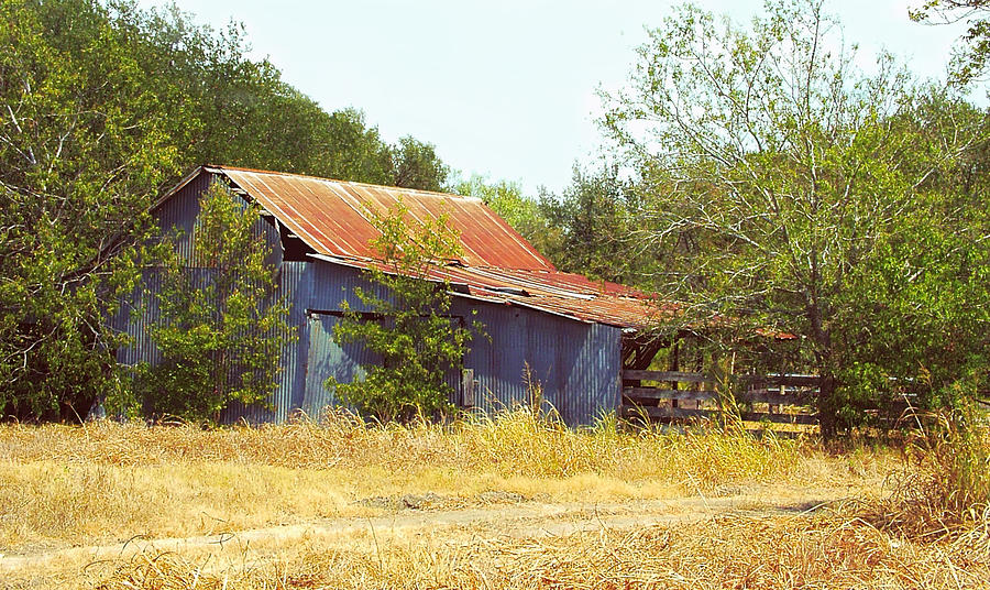 Vintage Metal Barn Photograph by Linda Phelps