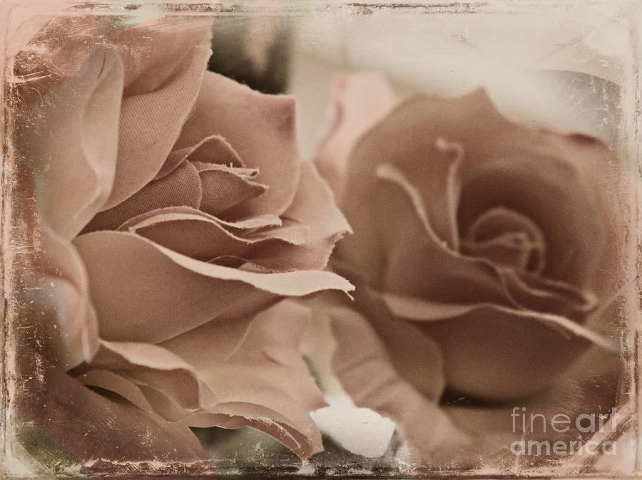 Rose Photograph - Vintage Mirror by Clare Bevan
