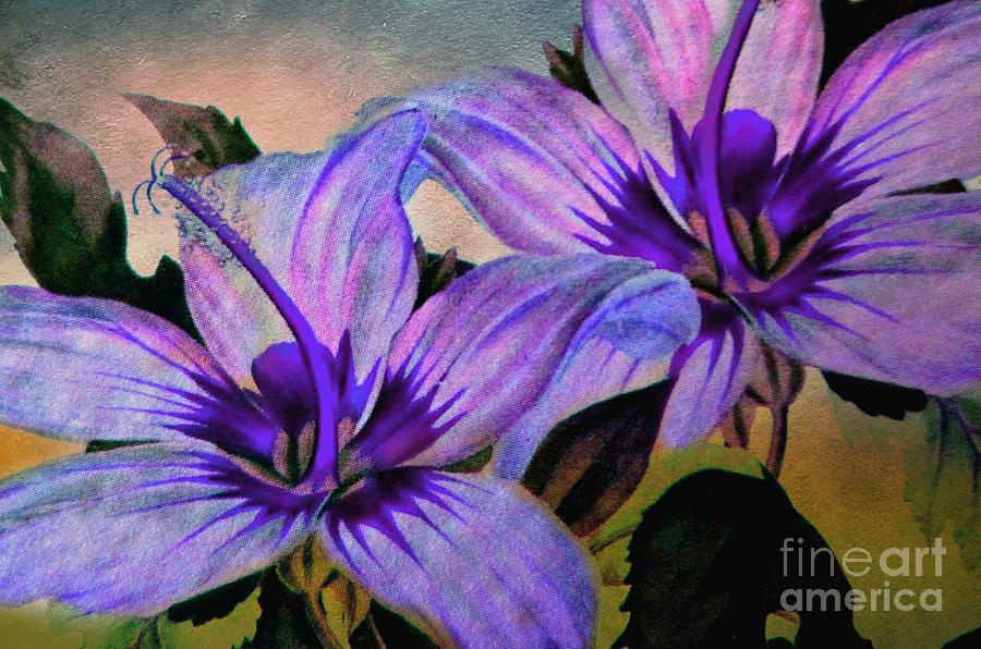 Vintage Painted Lavender Lily Photograph by Judy Palkimas