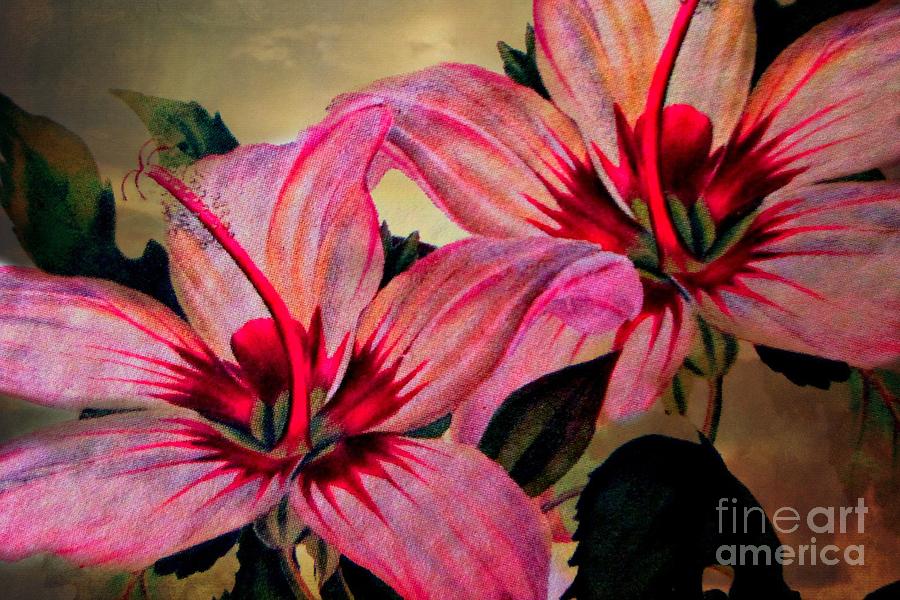 Vintage Painted Pink Lily Photograph by Judy Palkimas
