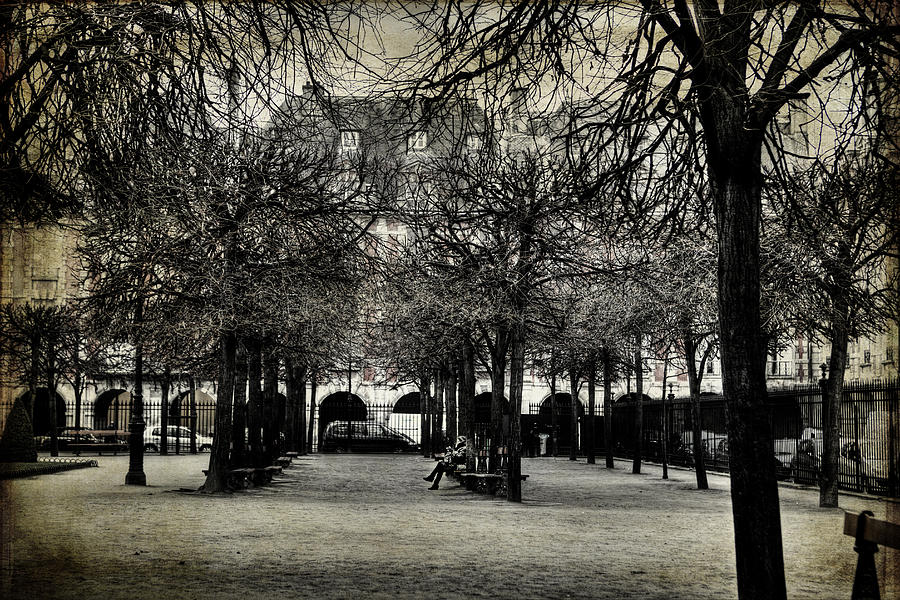 Vintage Paris in the Park Photograph by Evie Carrier