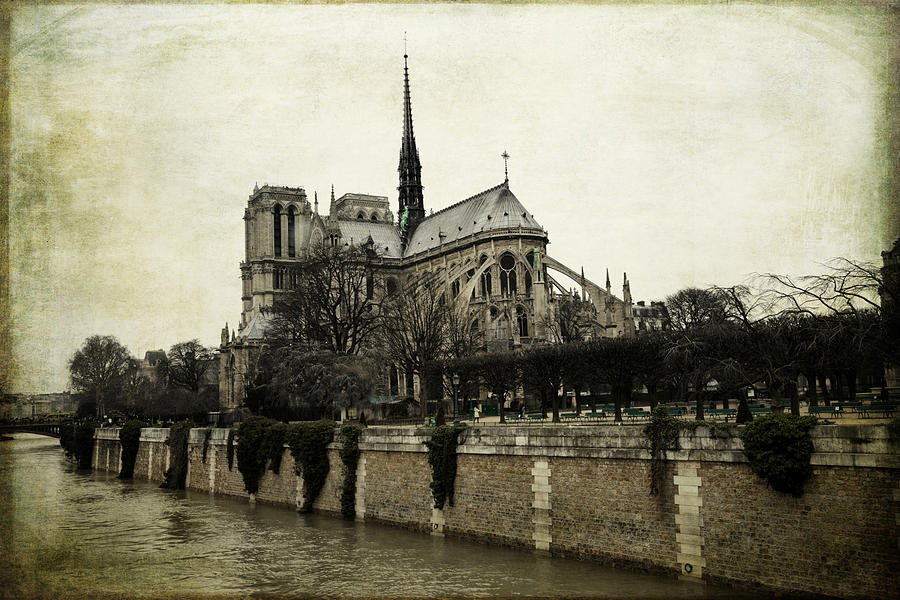 Vintage Paris Notre Dame Photograph by Evie Carrier
