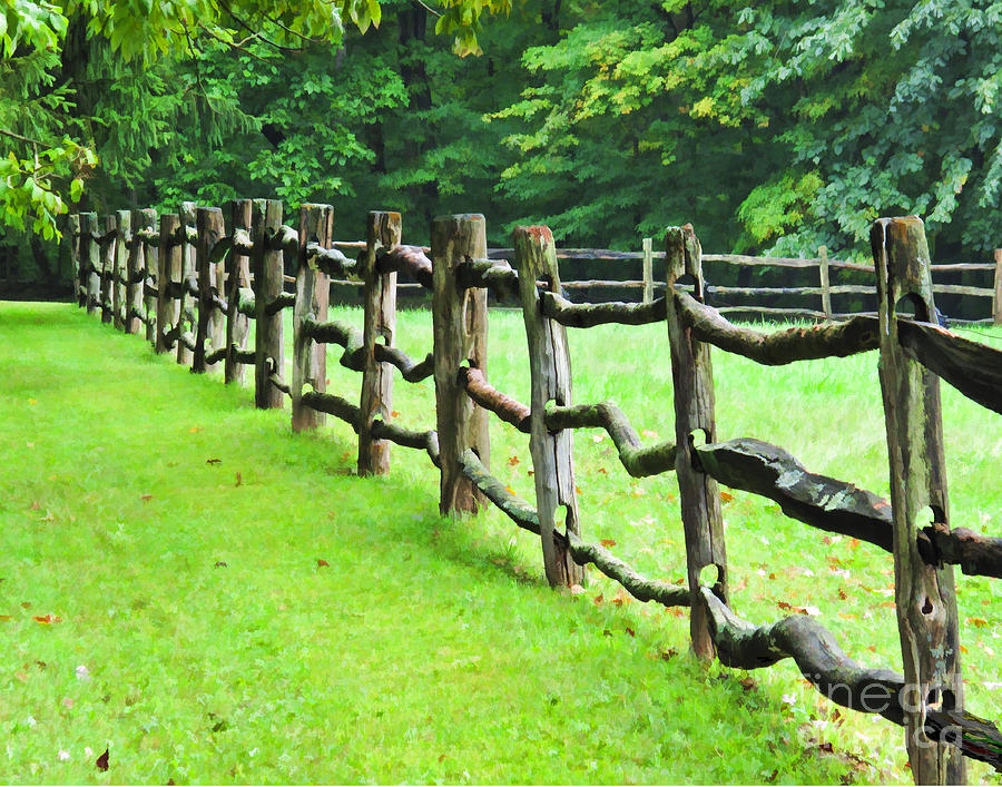 Vintage Pasture Fence Digital Art by L J Oakes