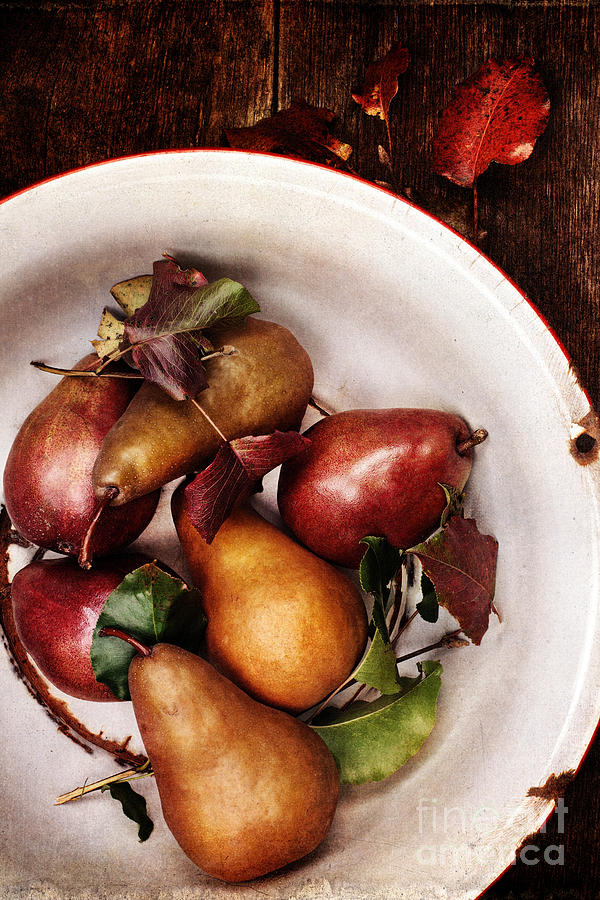 Vintage Pears Photograph by Stephanie Frey