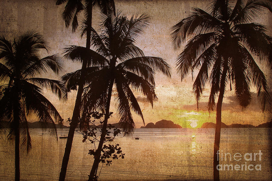 Vintage Philippines, palm trees at sunset Photograph by Delphimages Photo Creations