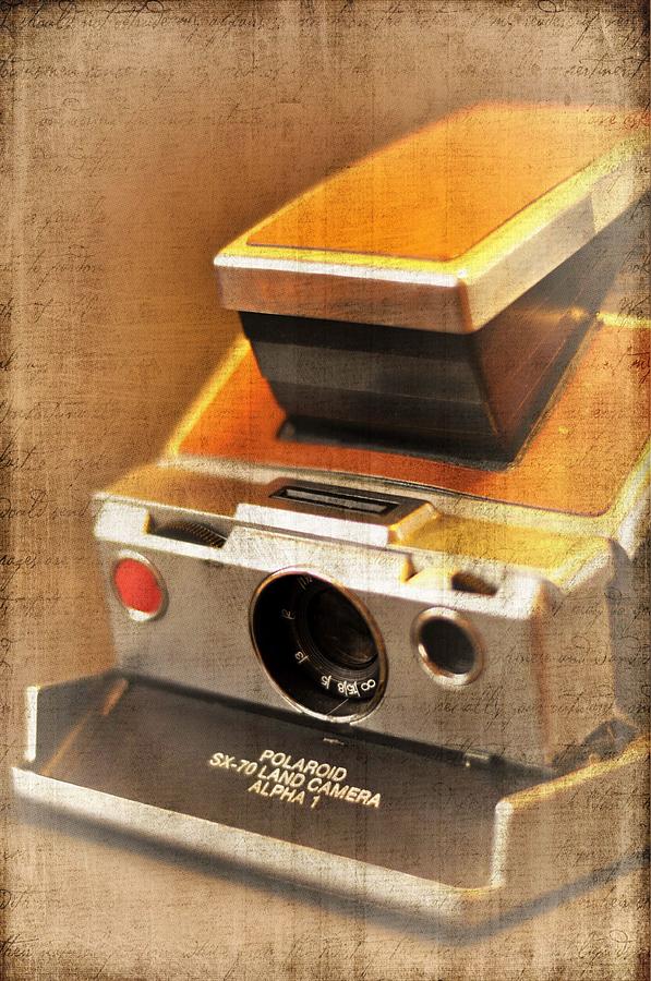 Vintage Polaroid Photograph - Vintage Polaroid by A R Williams