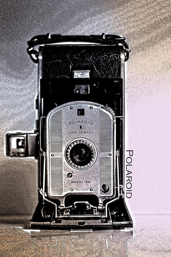 Vintage Polaroid Photograph by Kelly Hazel