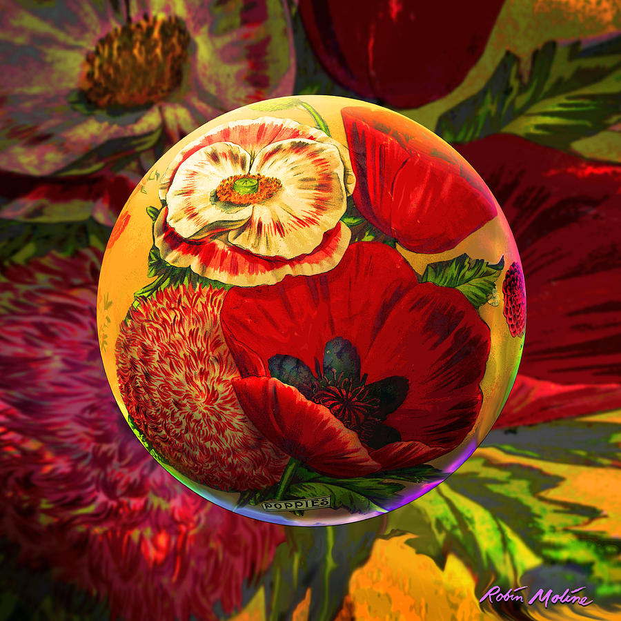 Poppy Digital Art - Vintage Poppy Sphere by Robin Moline