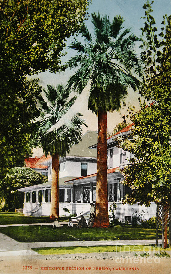 Vintage postcard of wealthy neighbourhood in Fresno Calfiornia  Photograph by Patricia Hofmeester