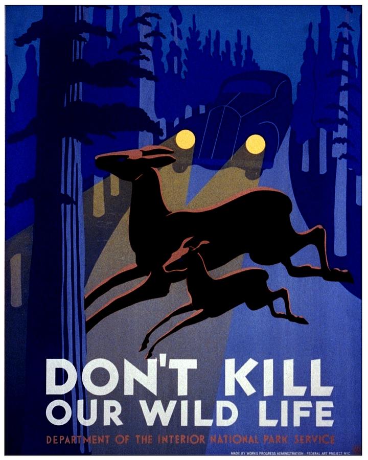 Vintage Poster - Dont Kill Our Wild Life Photograph by Benjamin Yeager