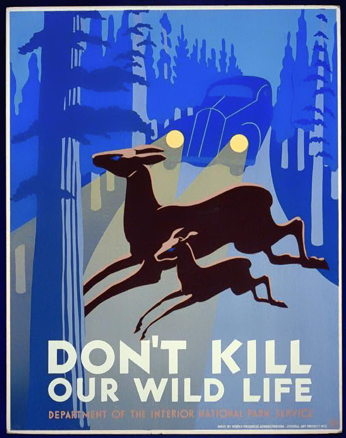 Vintage Mixed Media - Dont Kill Our Wild Life - 1940 by Mountain Dreams