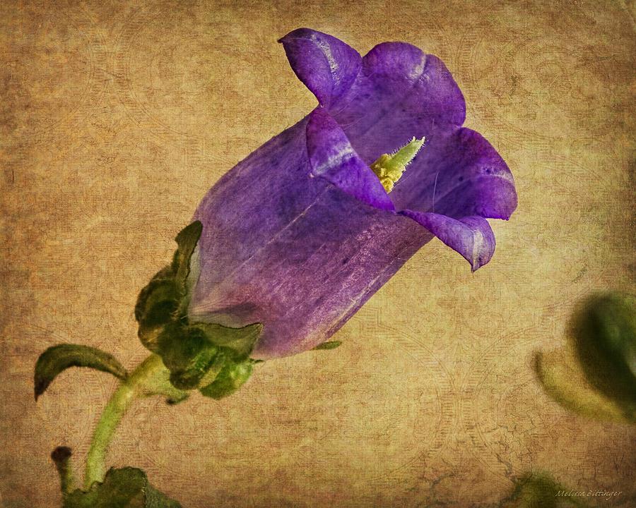 Vintage Purple Flower Photograph by Melissa Bittinger