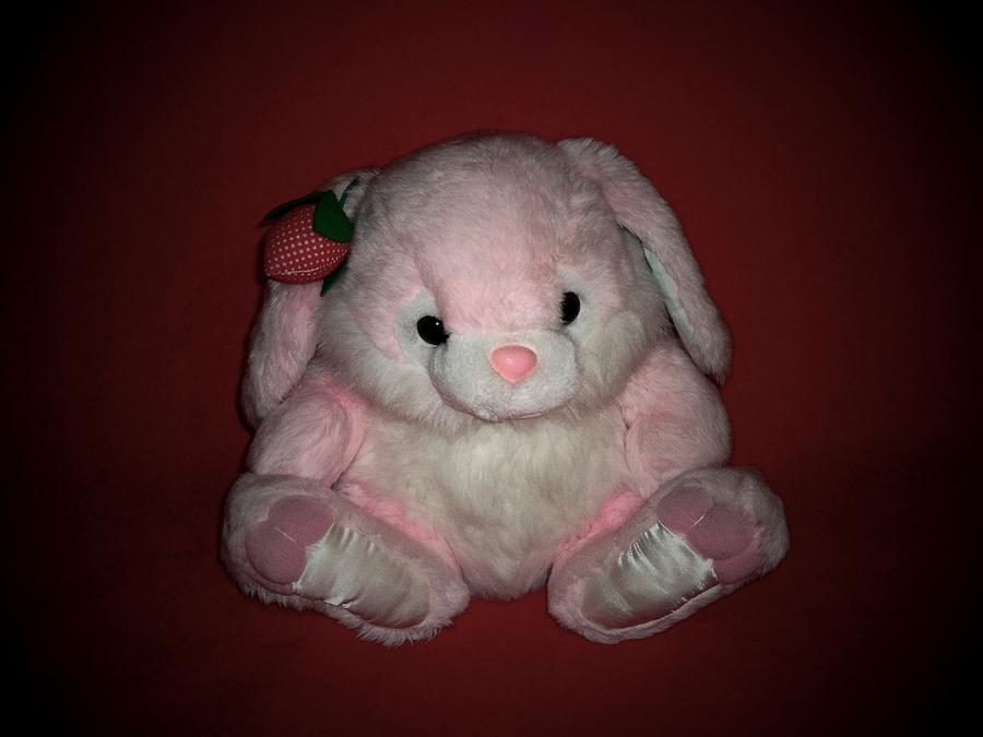 Vintage rabbit plush Photograph by Donatella Muggianu - Pixels