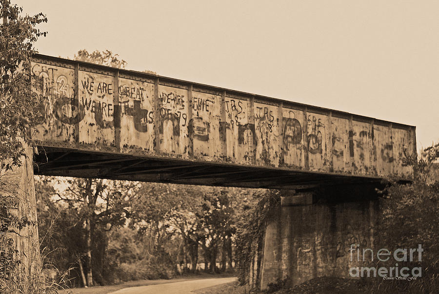 Vintage Railway Bridge in Sepia Photograph by Connie Fox