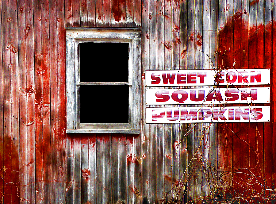 Vintage Red Barn Photograph by Steven Michael