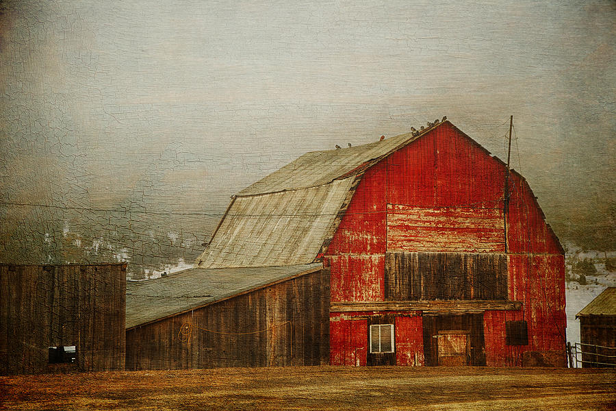 Vintage Red Barn Photograph by Theresa Tahara