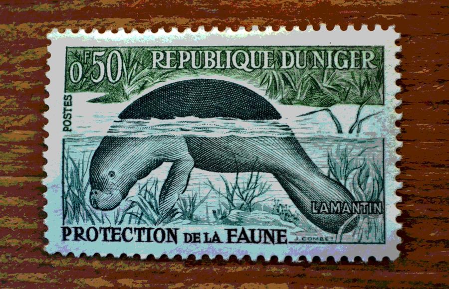 Vintage Photograph - Vintage Republic Of Niger Stamp by Deena Stoddard