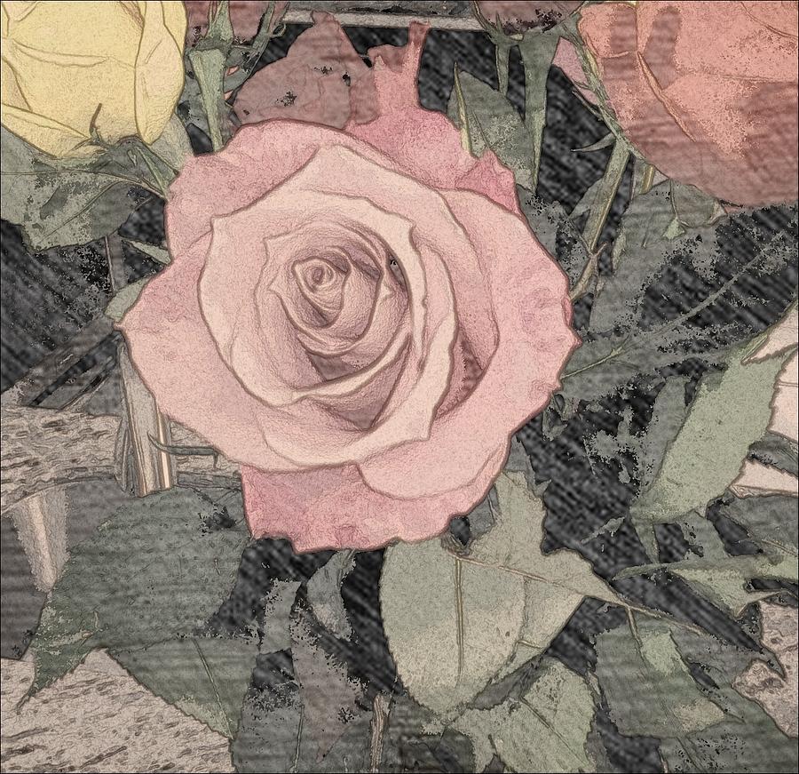 Vintage Romance Rose Photograph by Marian Lonzetta