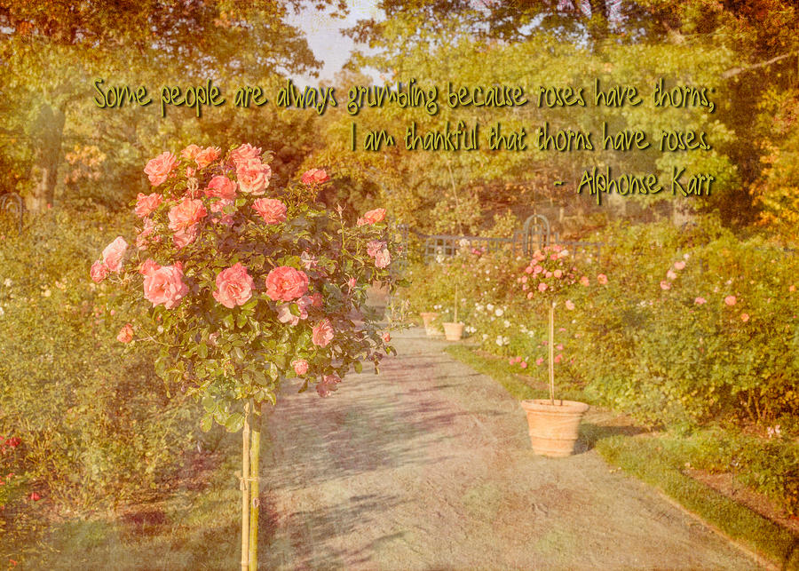 Vintage Rose Garden with Quote Photograph by Marianne Campolongo