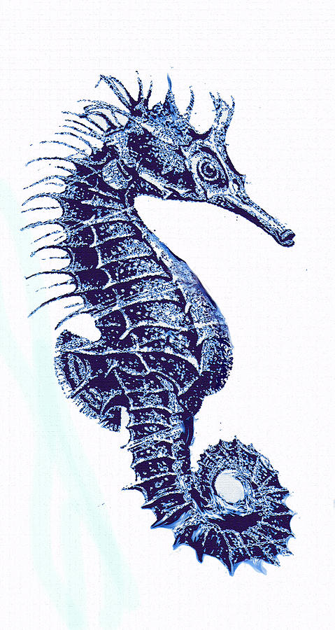 Vintage Seahorse-left -blue Digital Art by Jane Schnetlage