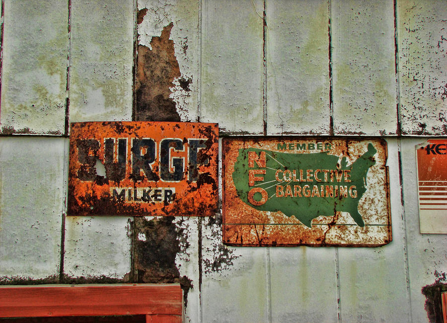 Vintage signs SD08 Photograph by Cathy Anderson