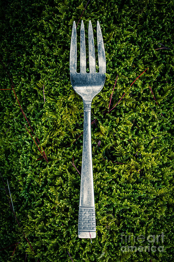 Still Life Photograph - Vintage silver fork on moss by Edward Fielding